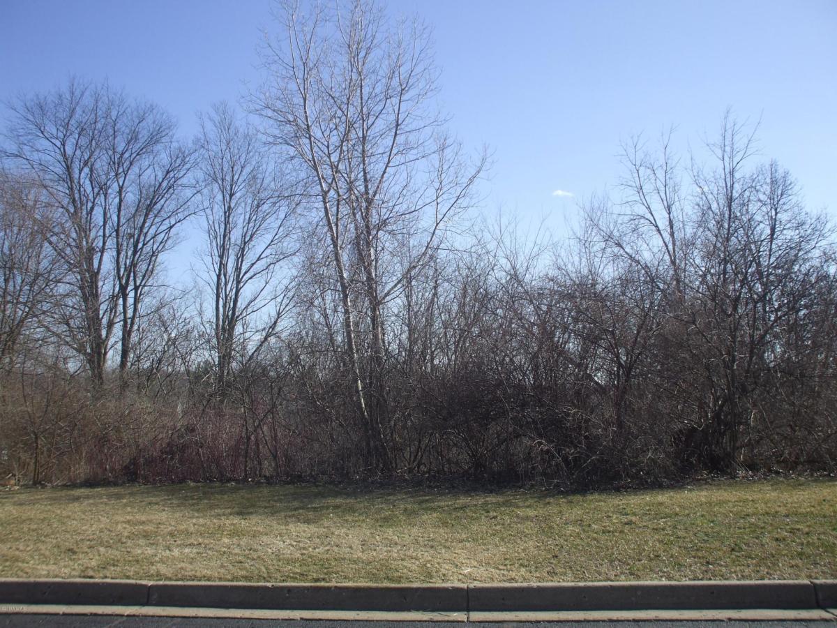 MLS #25000668 image #0
