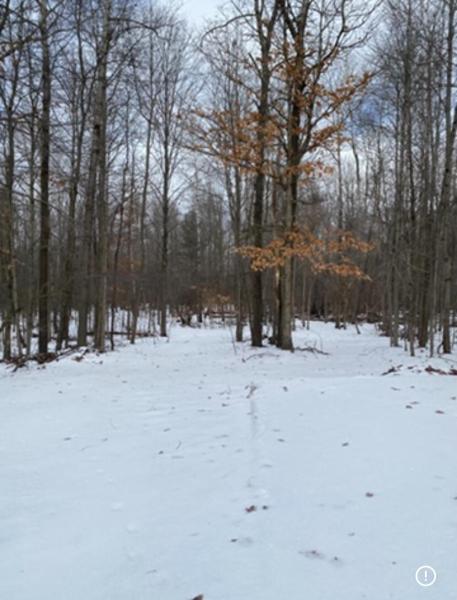 MLS #25009570 image #0