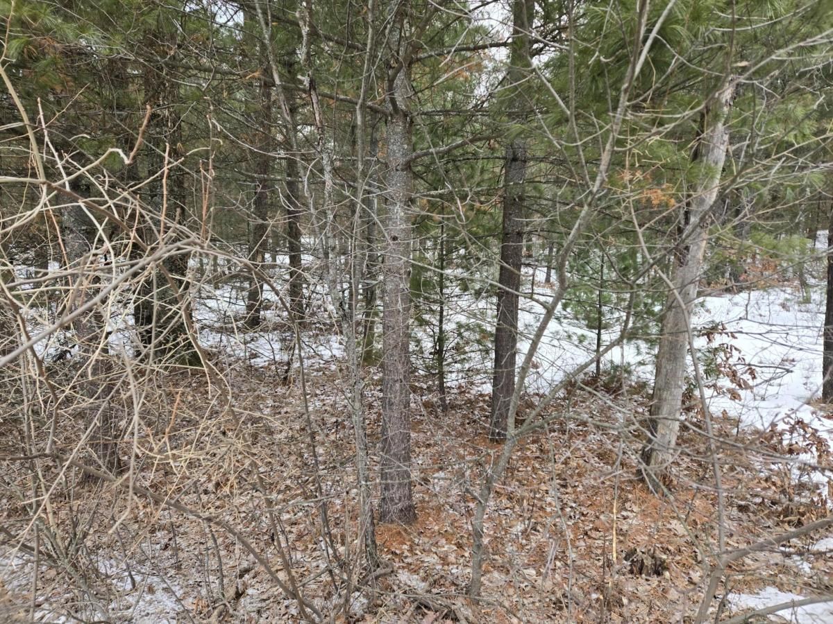MLS #25011747 image #0