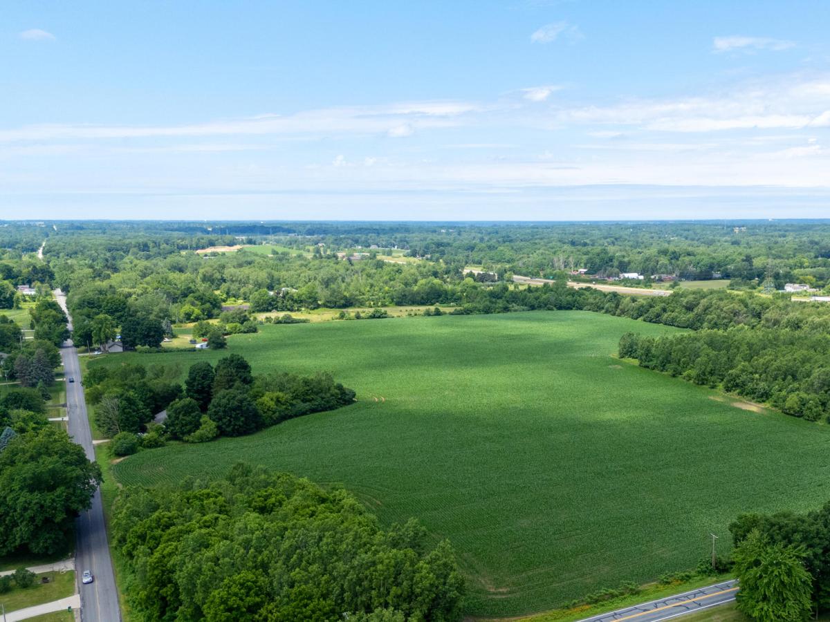 MLS #25031919 image #0