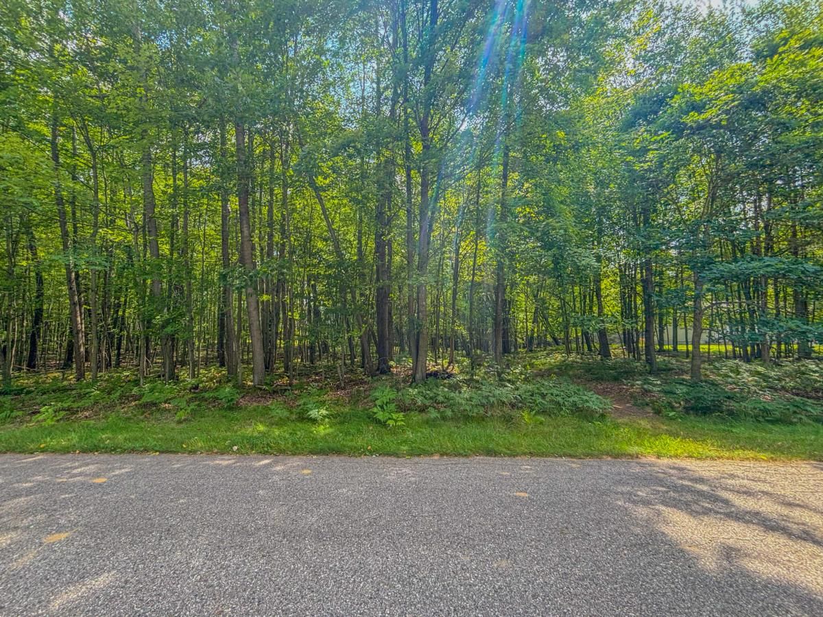 MLS #25040527 image #0