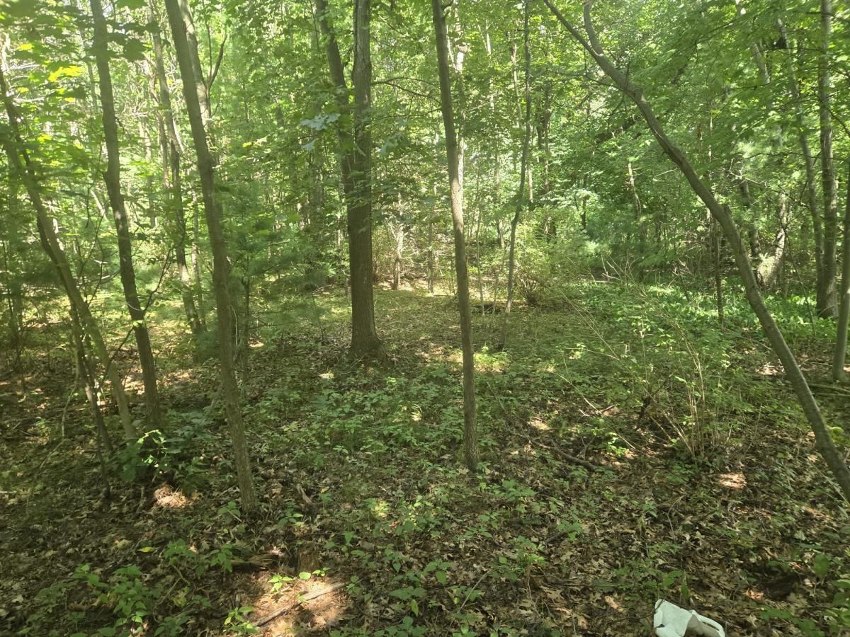 MLS #25043404 image #0