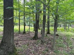 MLS #25045593 image #0