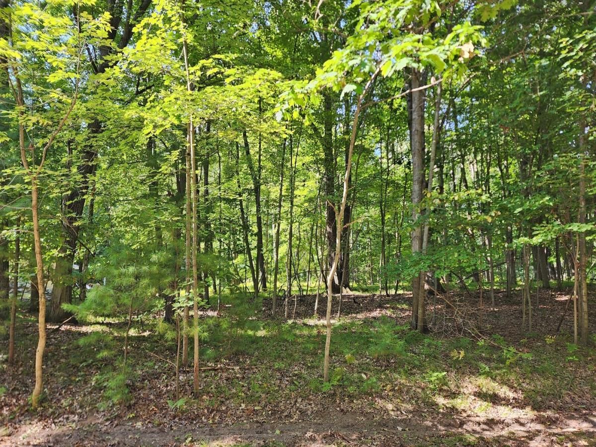 MLS #25045925 image #0