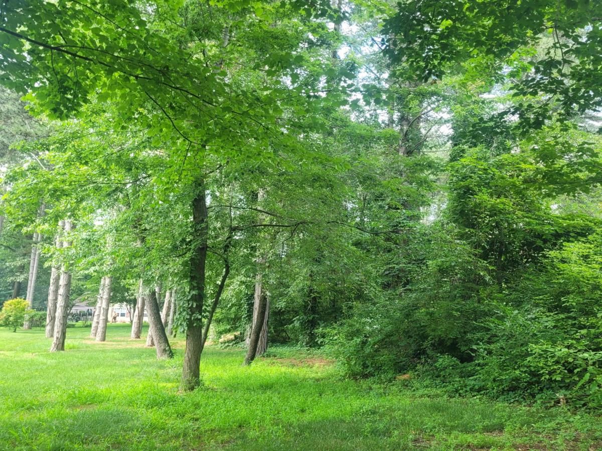 MLS #25046506 image #0