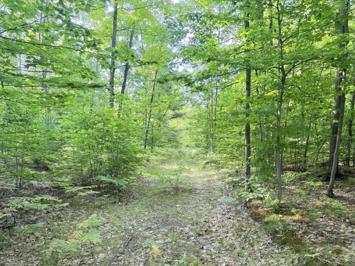 MLS #25046614 image #0