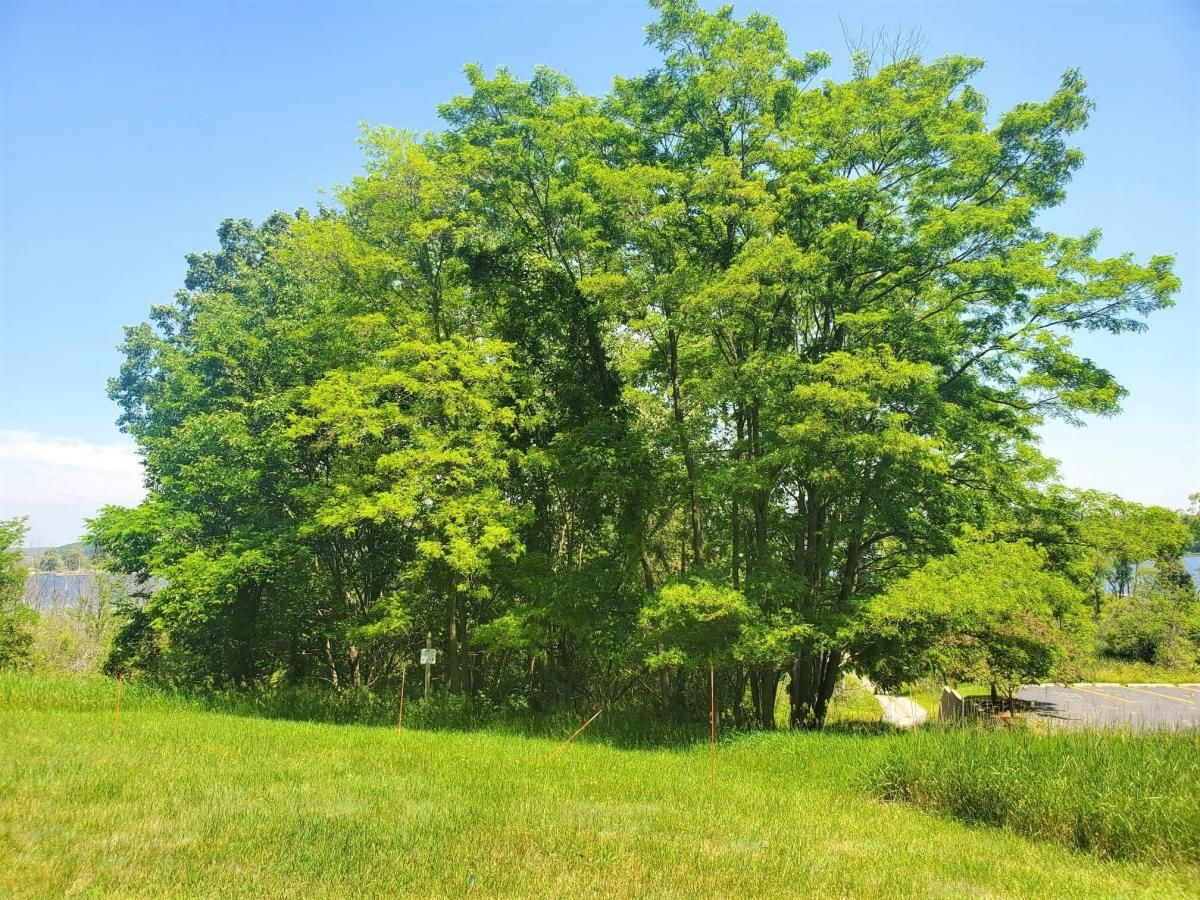 MLS #25049389 image #0