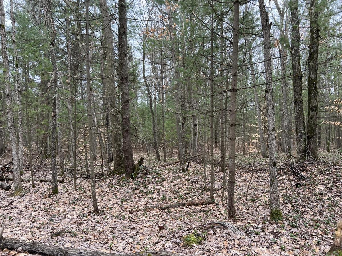 MLS #25053077 image #0