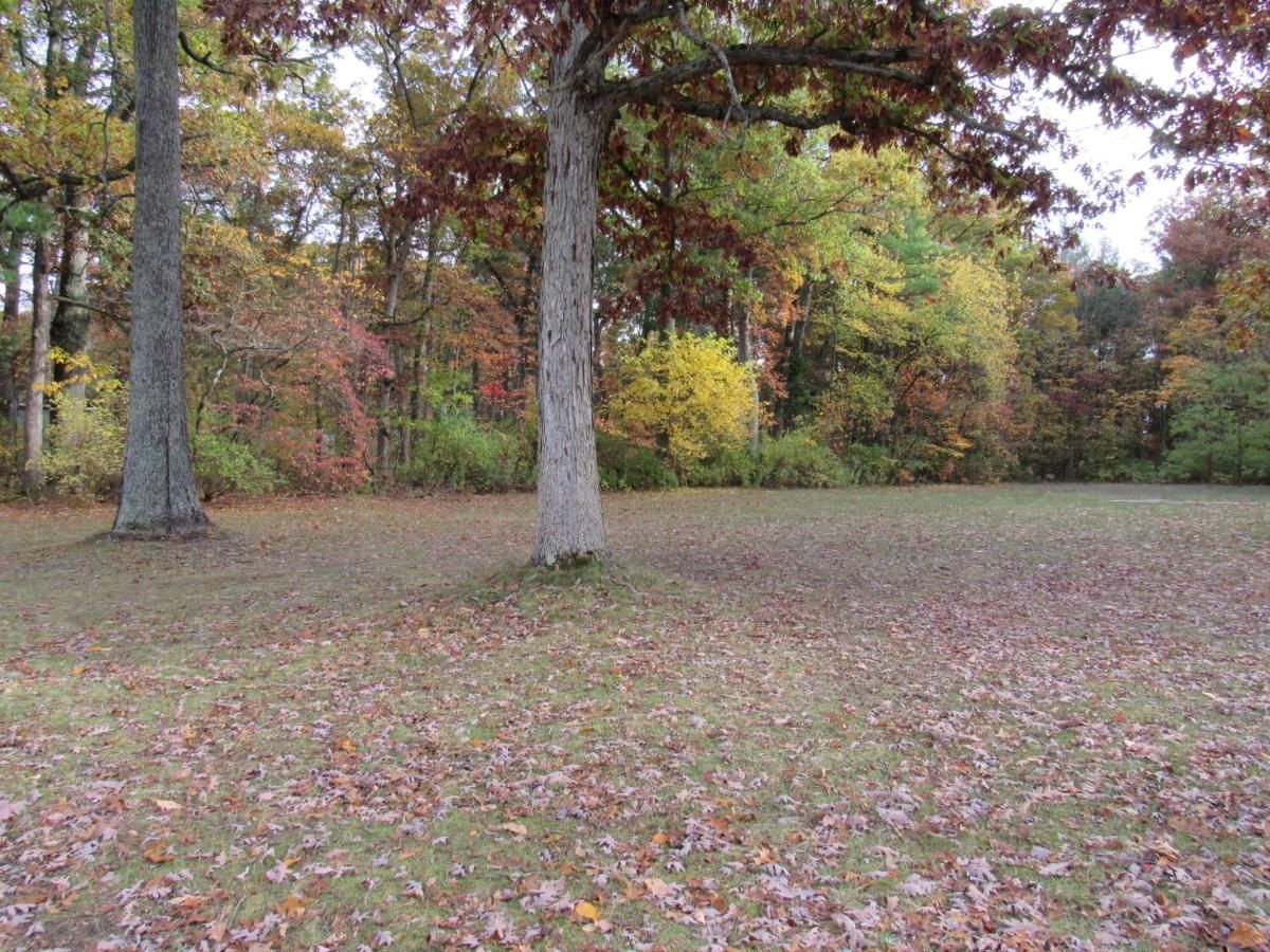 MLS #25055089 image #0