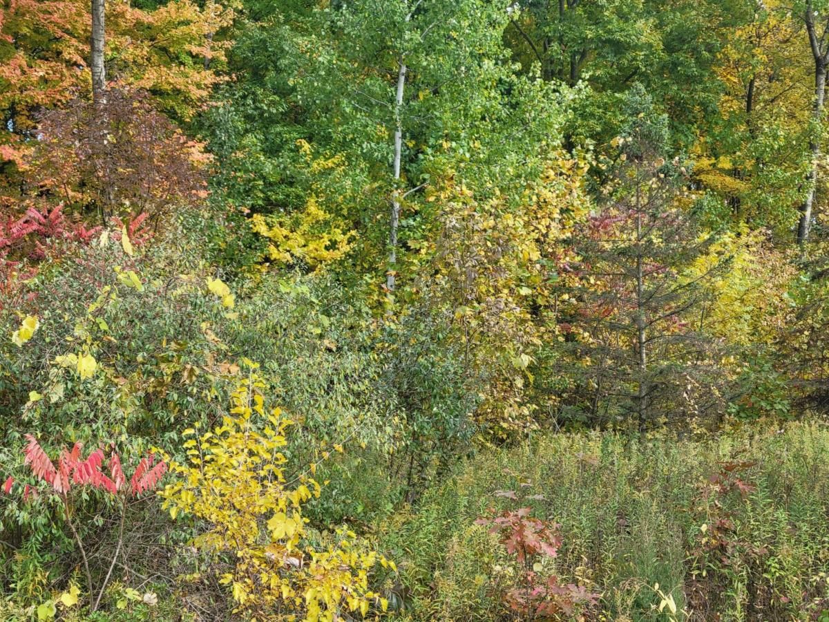MLS #25055389 image #0