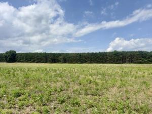MLS #25060252 image #0