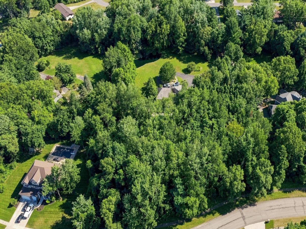 MLS #25060778 image #0