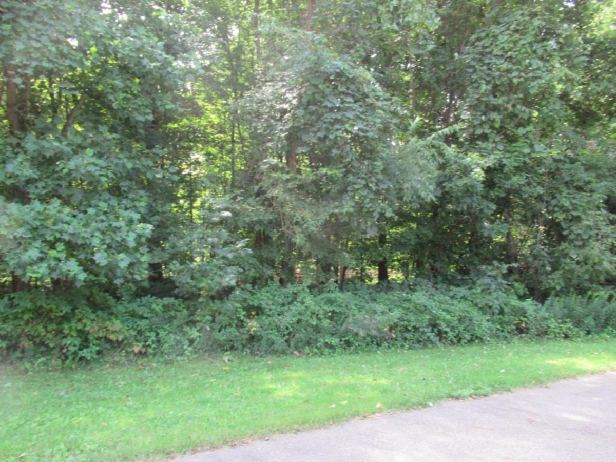 MLS #25062598 image #0