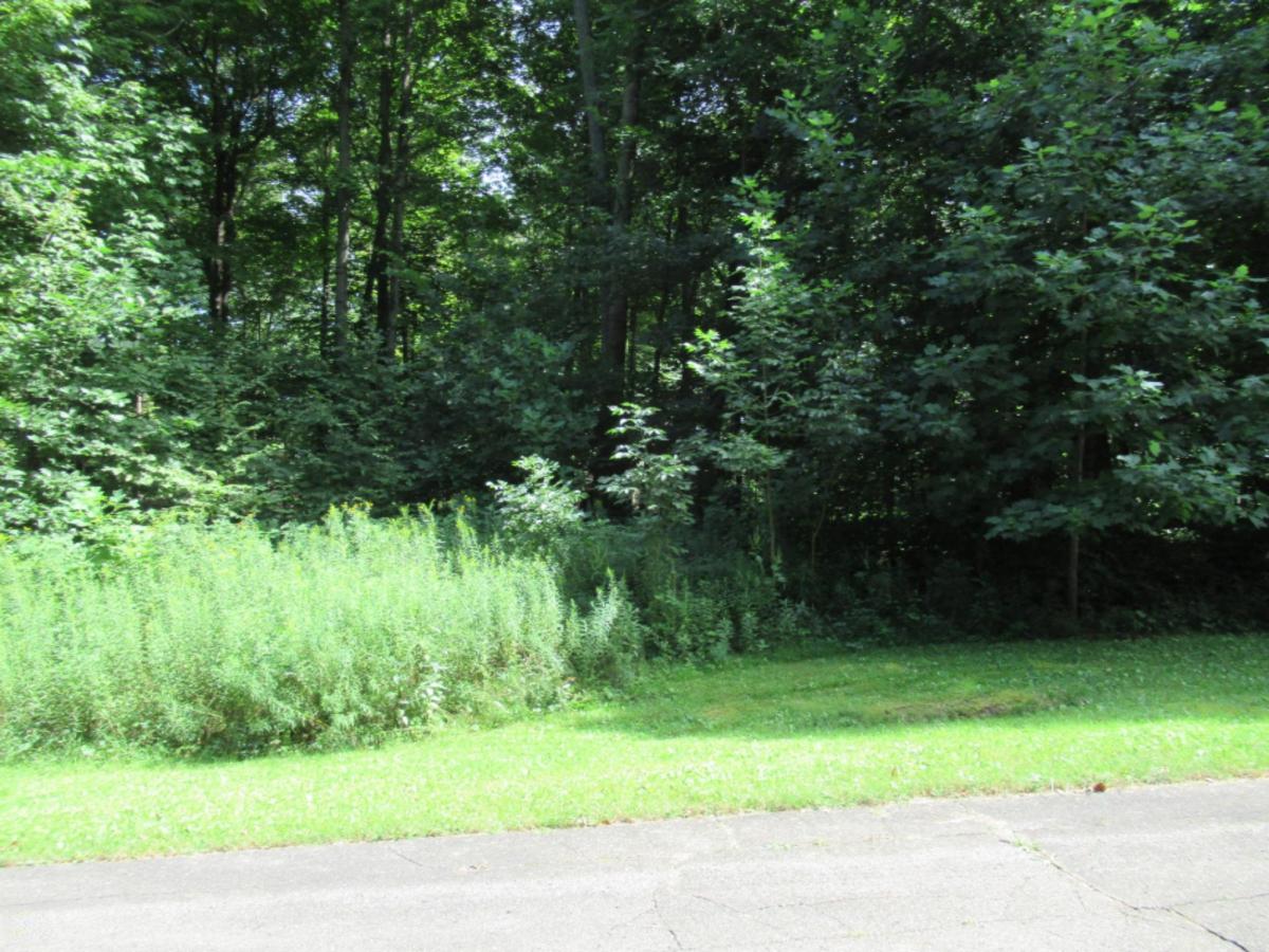 MLS #25062603 image #0