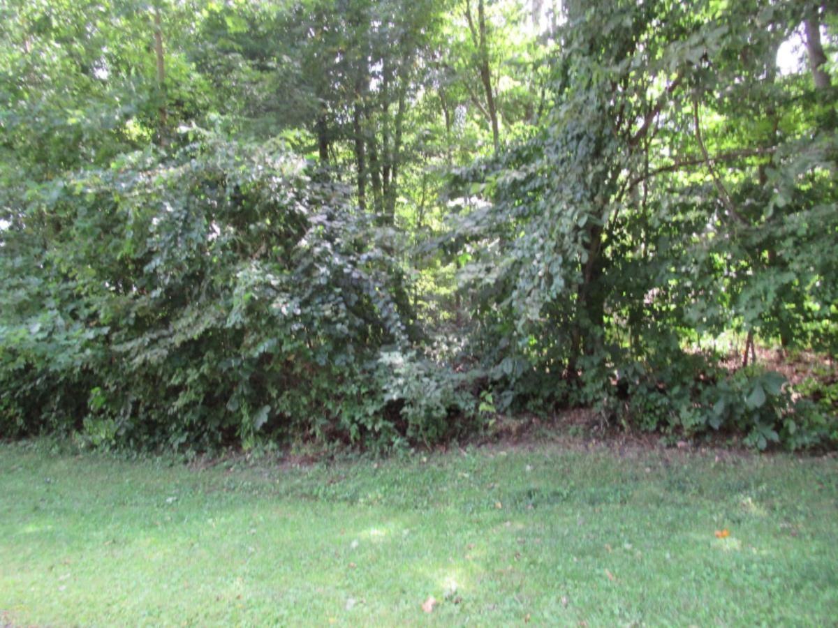 MLS #25062606 image #0