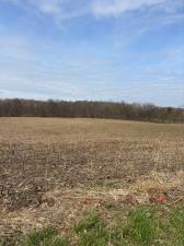 MLS #25062928 image #0
