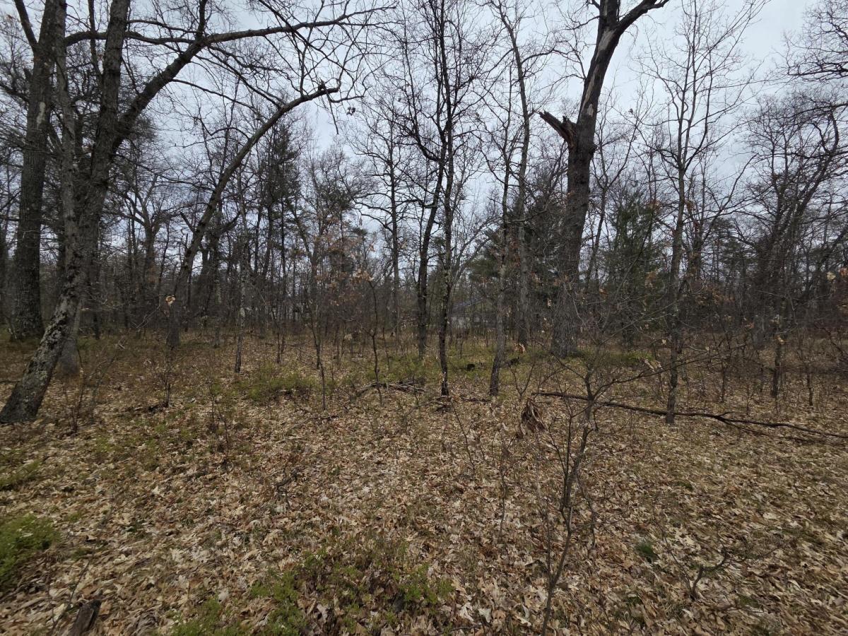 MLS #26004502 image #0