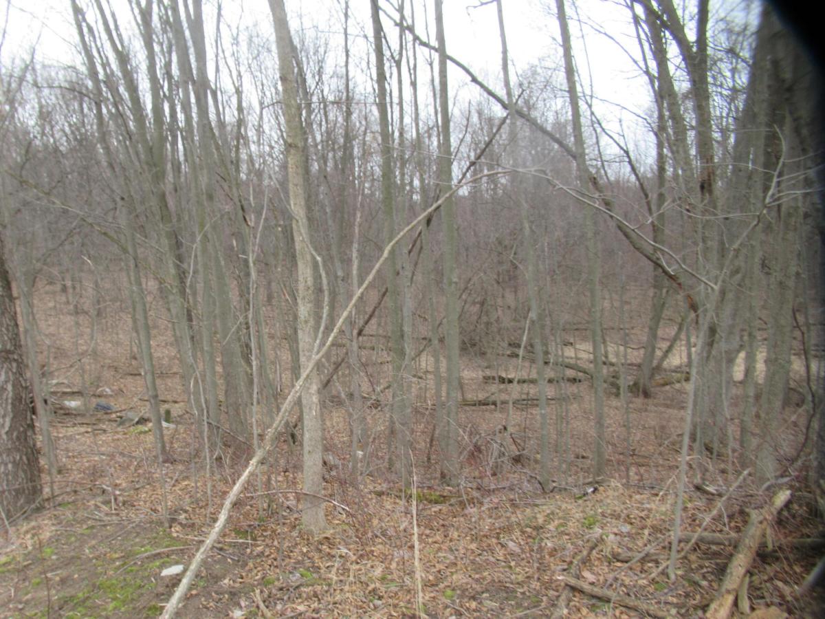 MLS #26006683 image #0