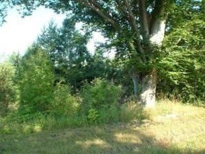MLS #26007217 image #0