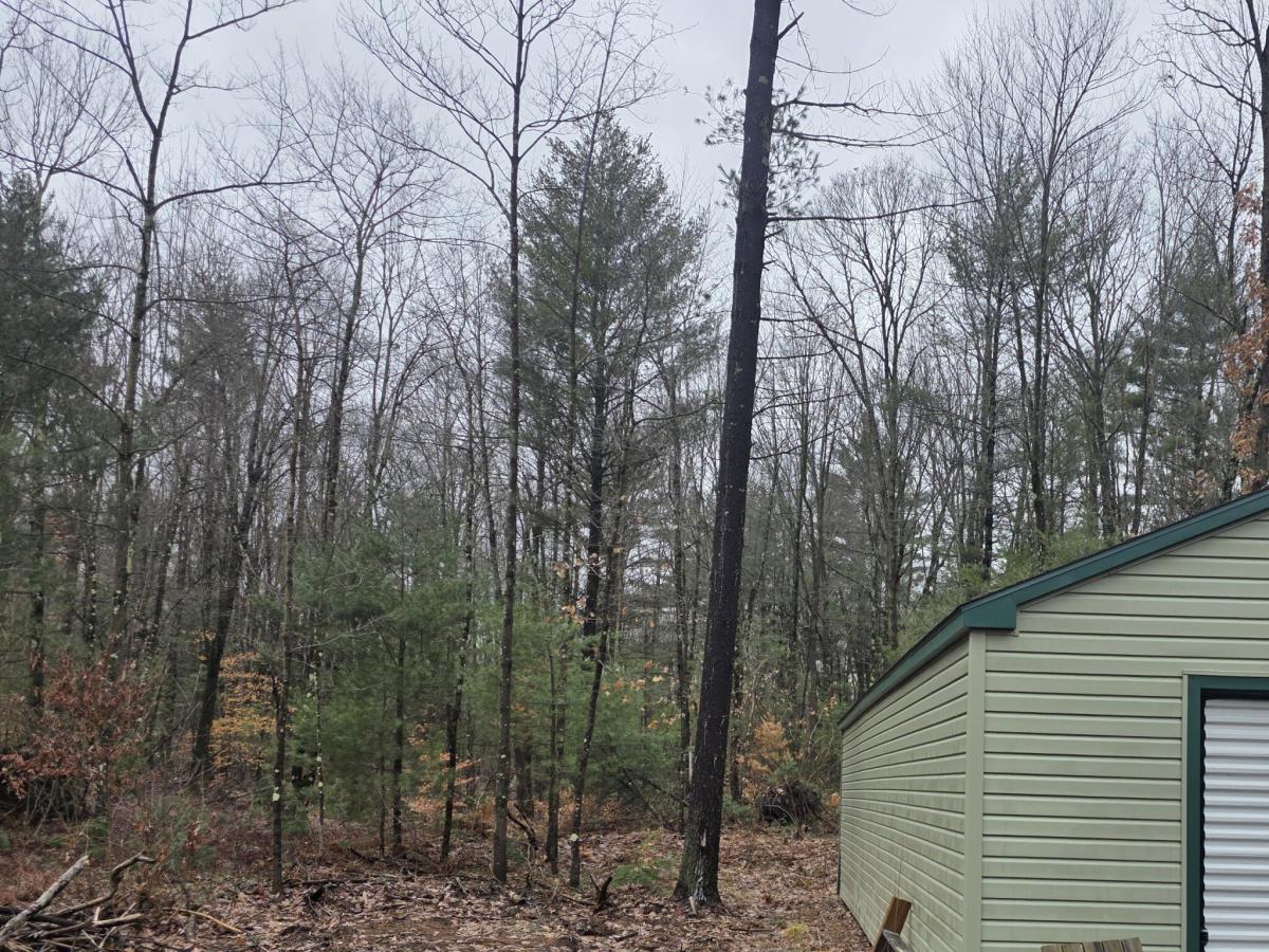 MLS #26009582 image #0