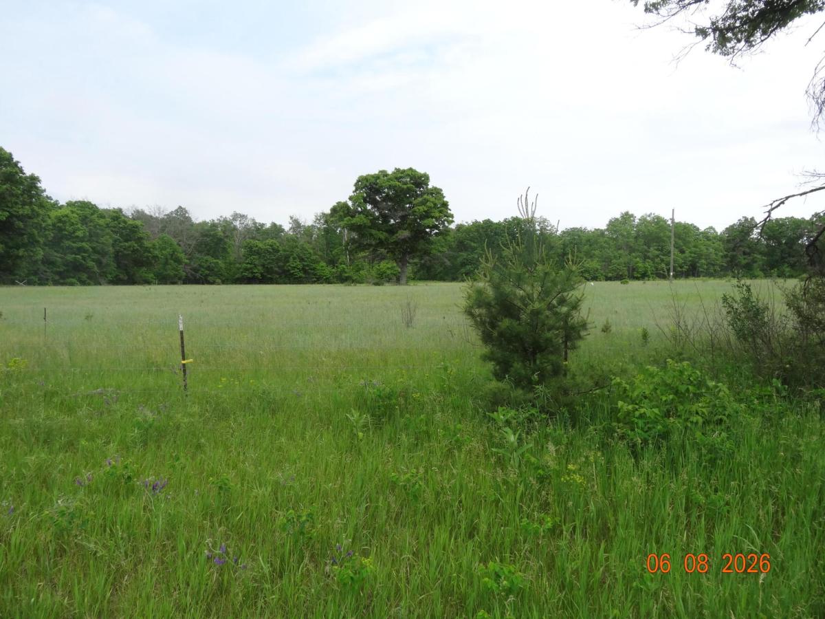 MLS #26009761 image #0