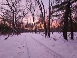 MLS #26010111 image #0