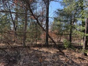MLS #26014464 image #0