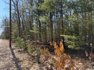 MLS #26014538 image #0
