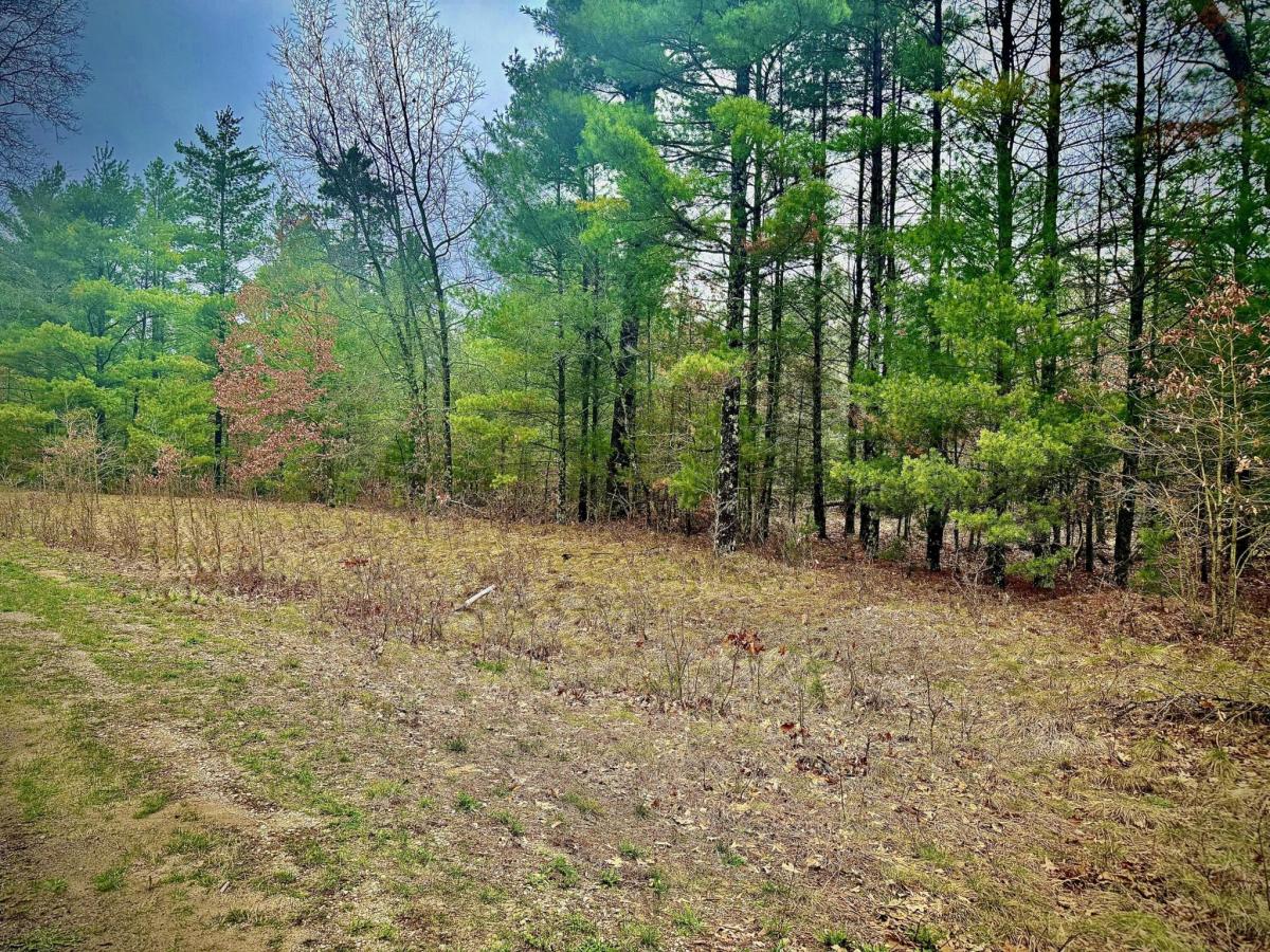 MLS #26016388 image #0