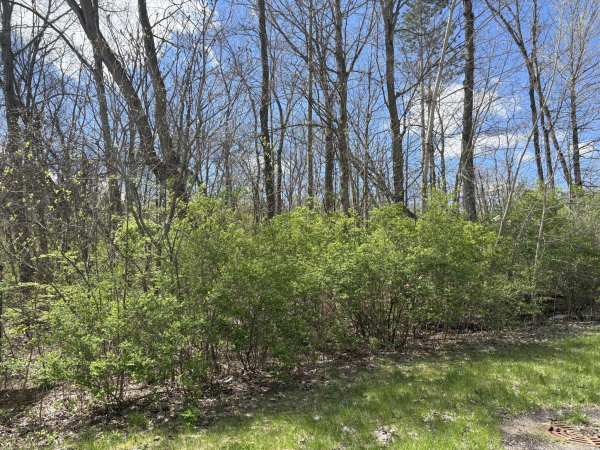 MLS #26016631 image #0