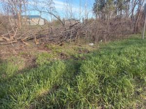 MLS #26016718 image #0