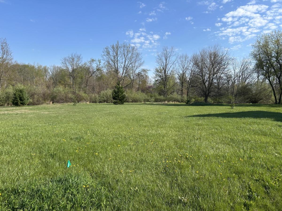 MLS #26017092 image #0