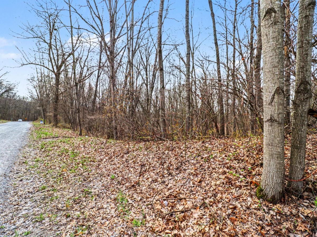 MLS #26017196 image #0