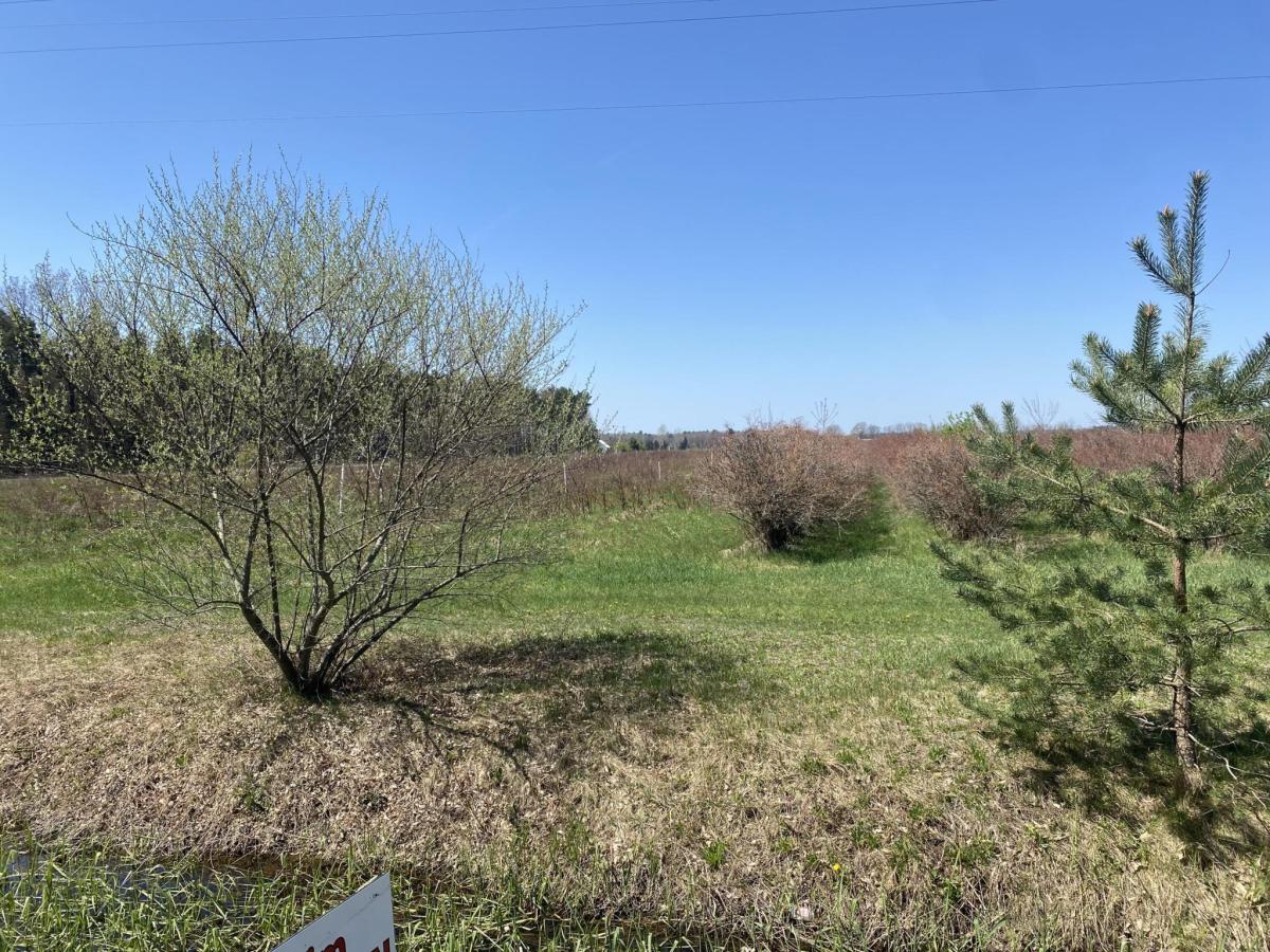 MLS #26017563 image #0