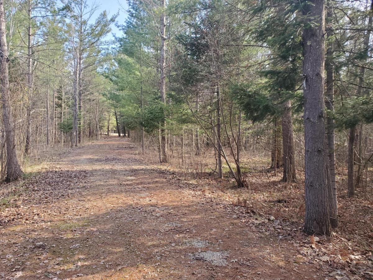 MLS #26018057 image #0