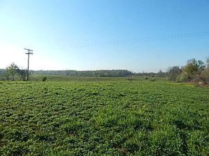 MLS #26018344 image #0