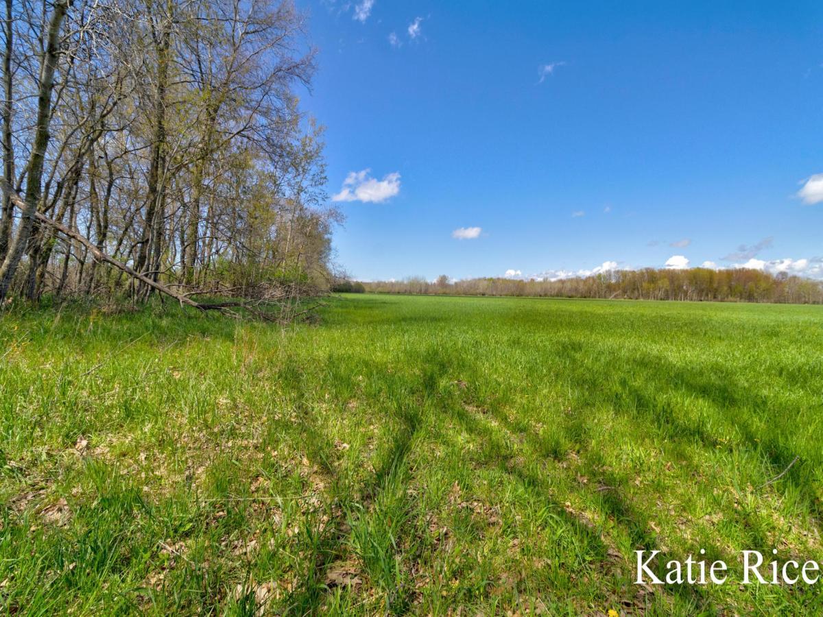 MLS #26019278 image #0