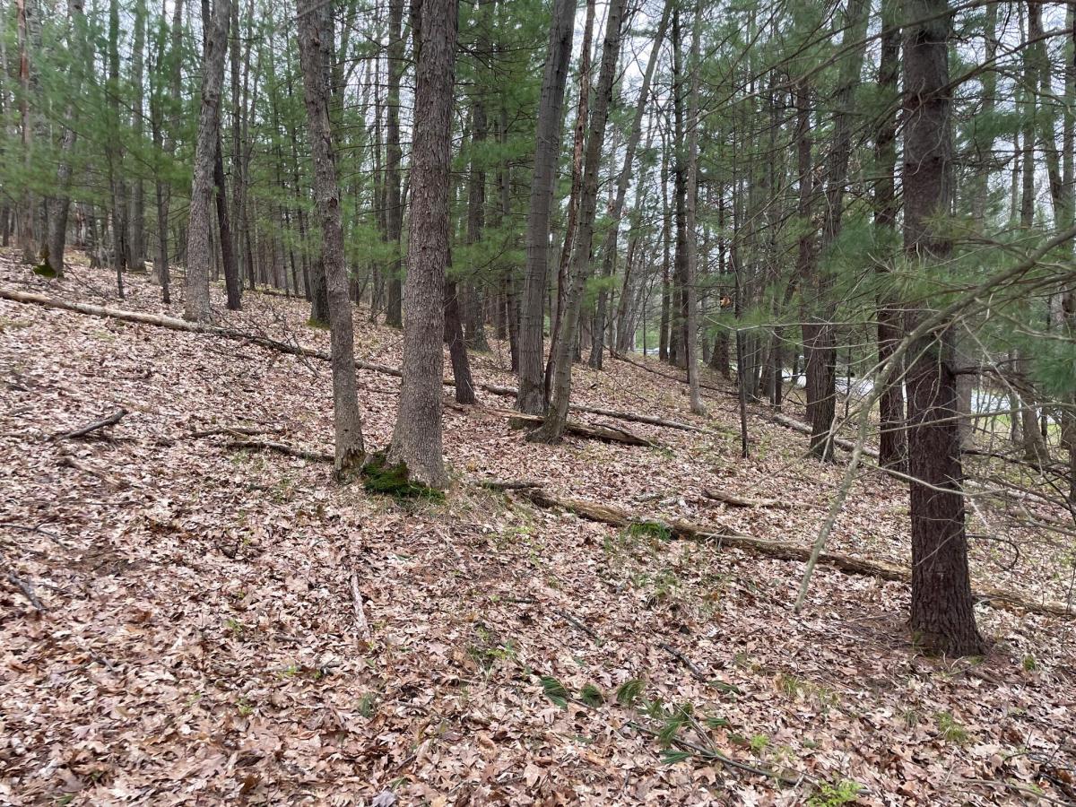 MLS #26019404 image #0