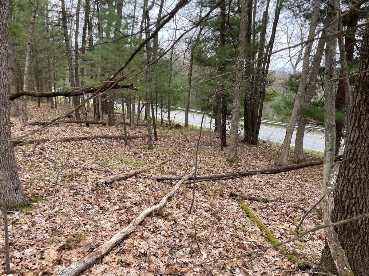 MLS #26019407 image #0