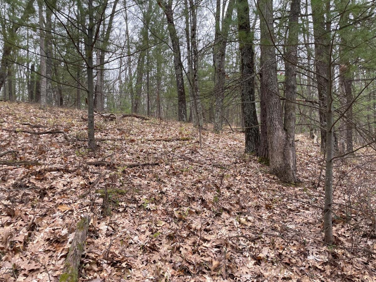 MLS #26019412 image #0