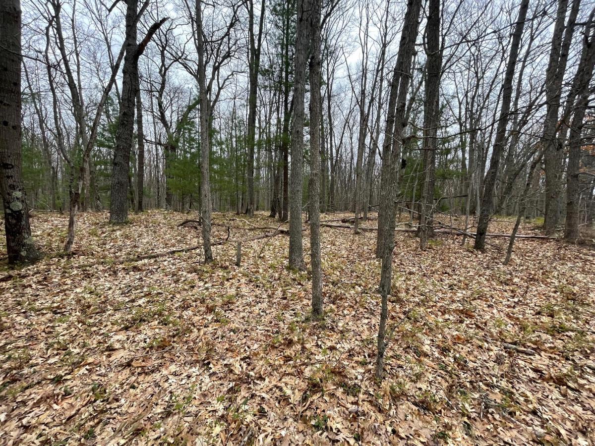 MLS #26019413 image #0