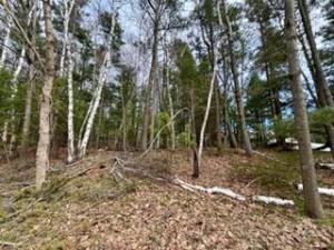 MLS #26019432 image #0