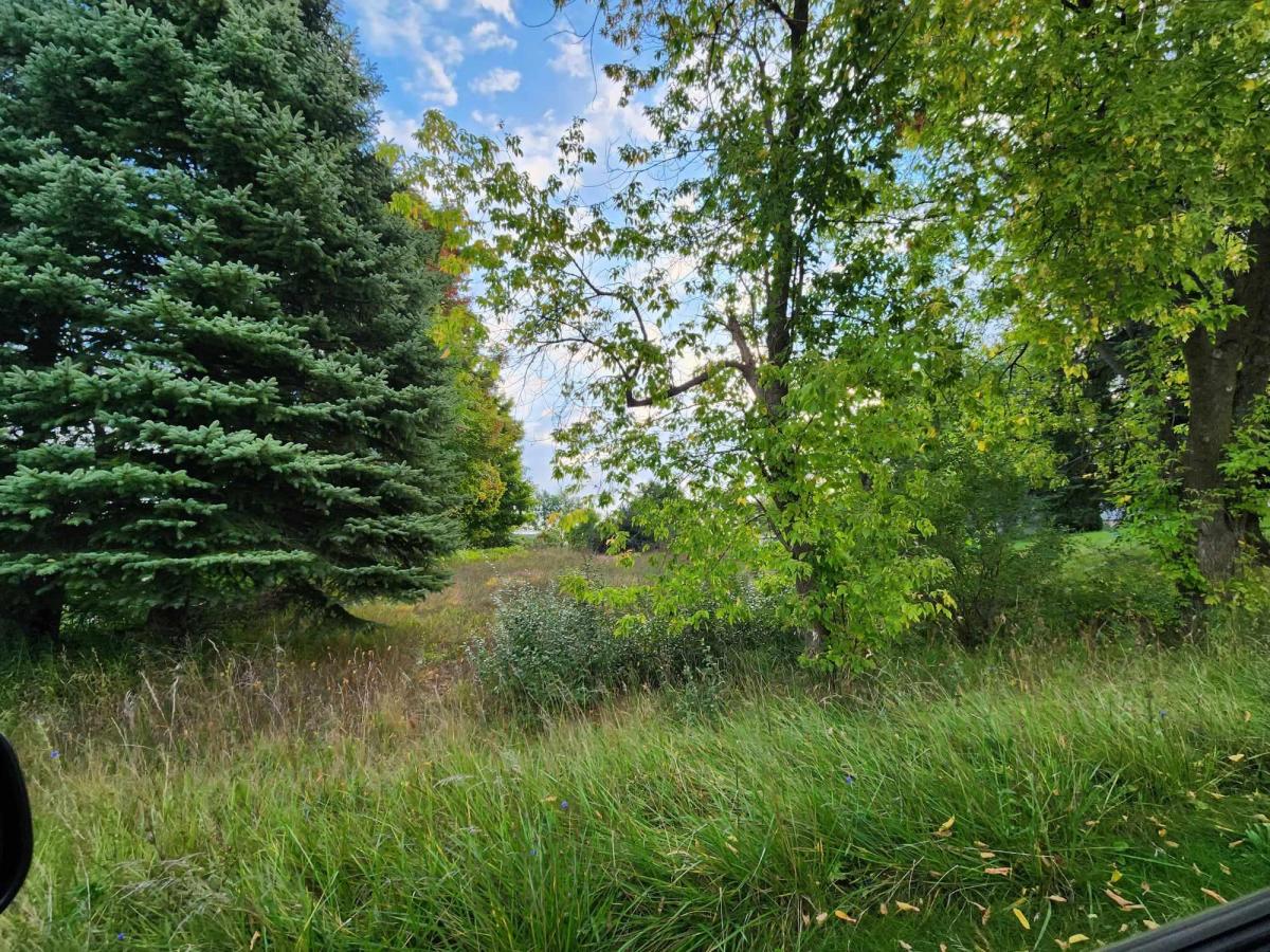 MLS #26019492 image #0