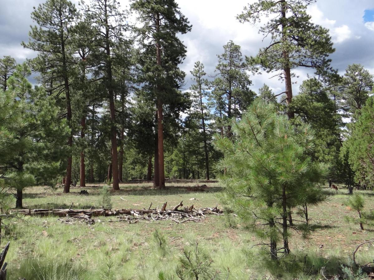 MLS #26019871 image #0