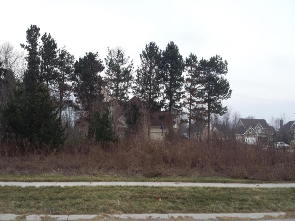 MLS #26021353 image #0