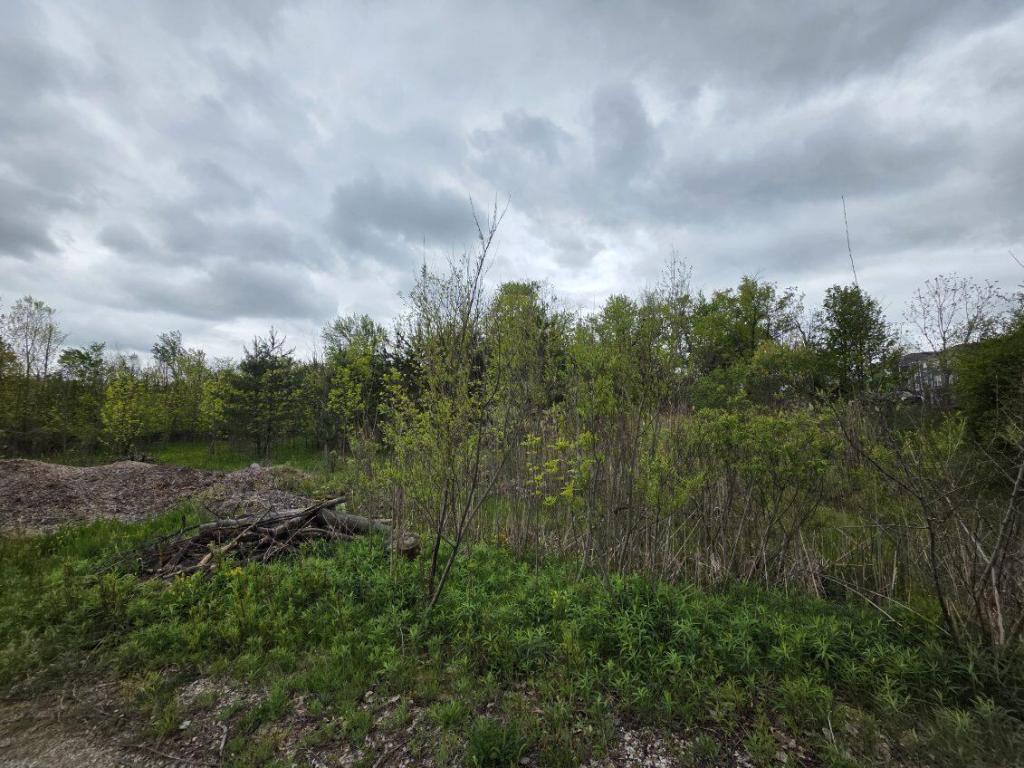 MLS #26021727 image #0