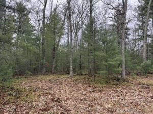 MLS #26021956 image #0