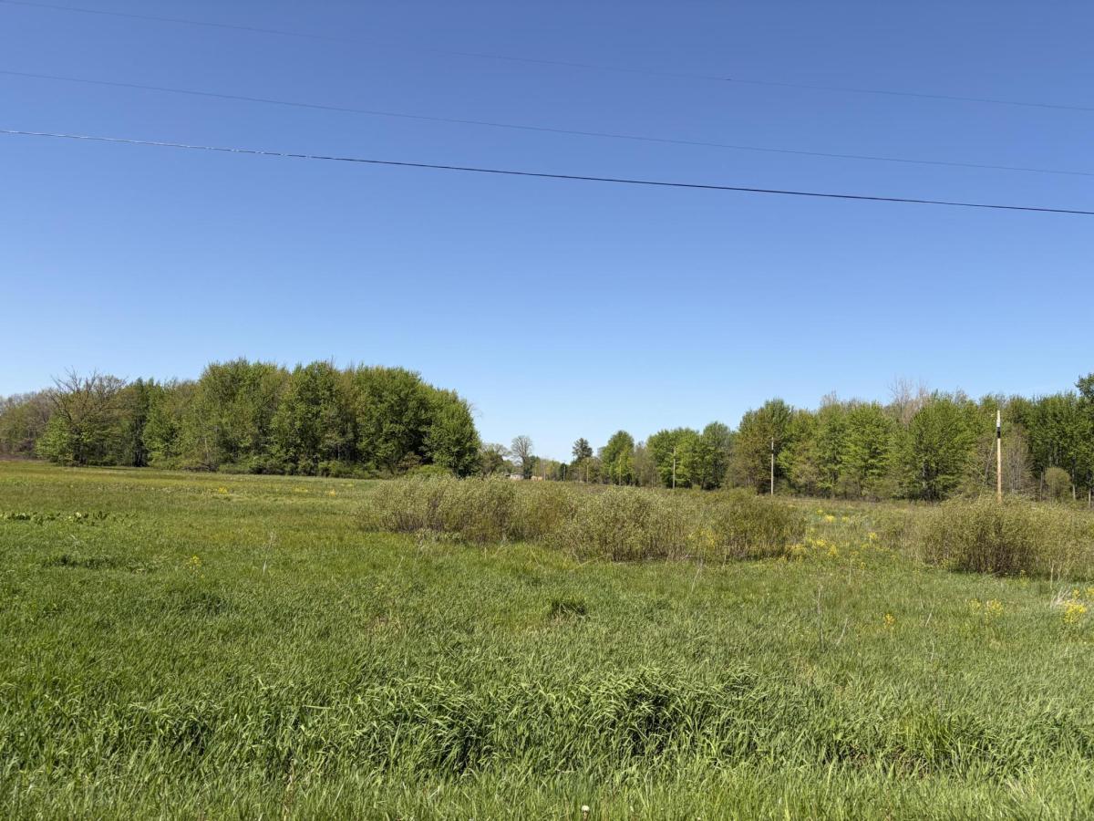 MLS #26022874 image #0