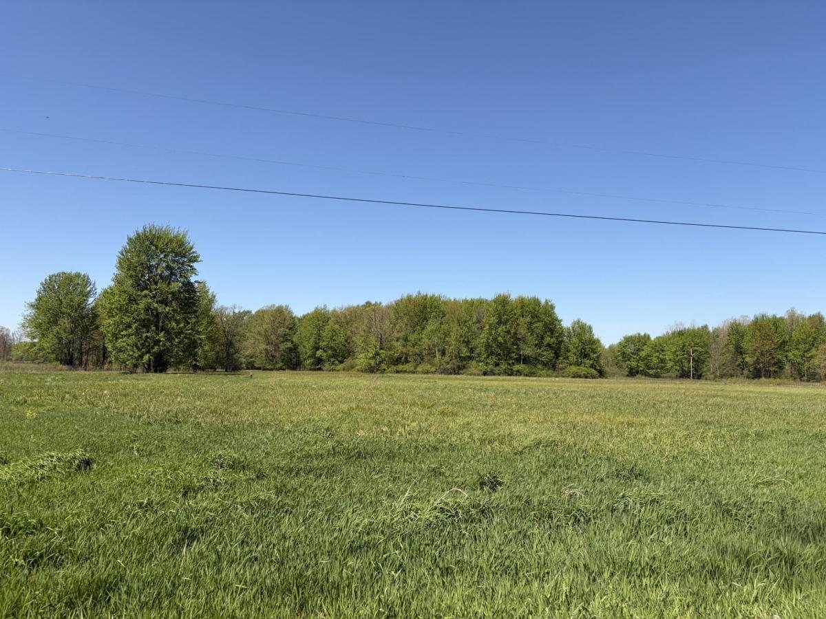 MLS #26022878 image #0