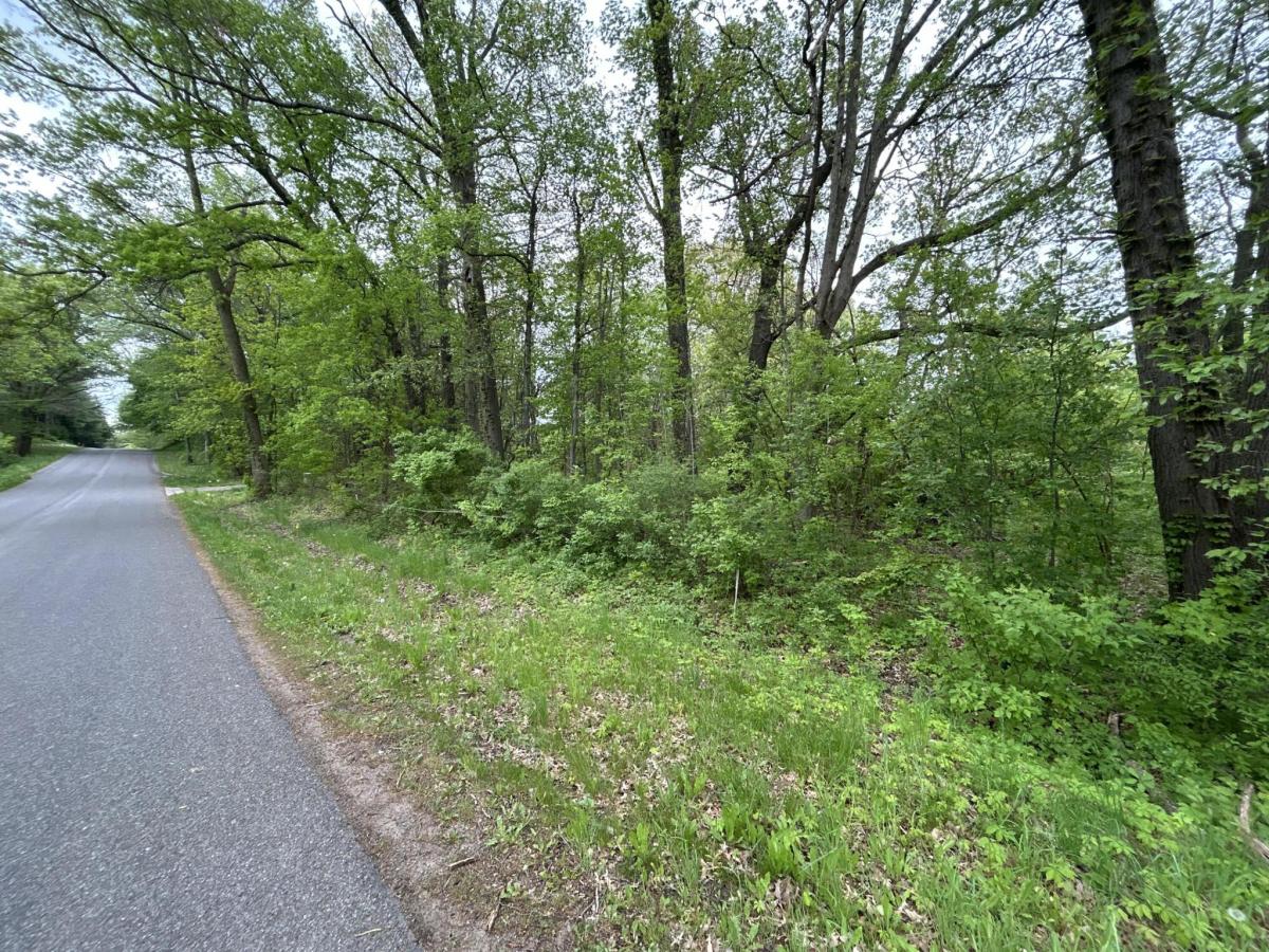 MLS #26023303 image #0